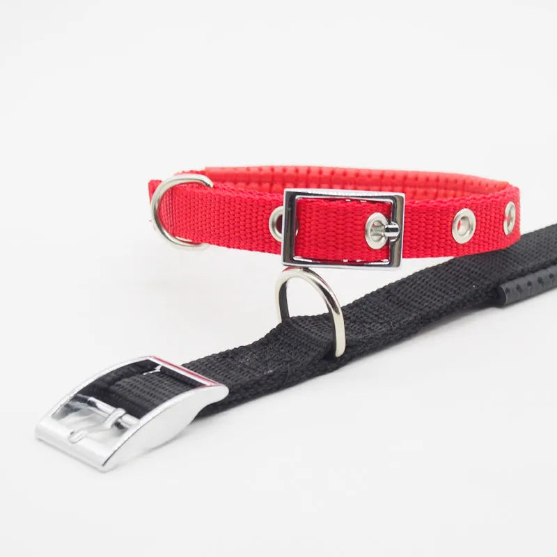 Black nylon reflective dog collar with buckle closure on a light background