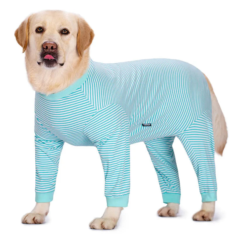 Four-legged striped dog shirt on golden retriever in sky blue colour