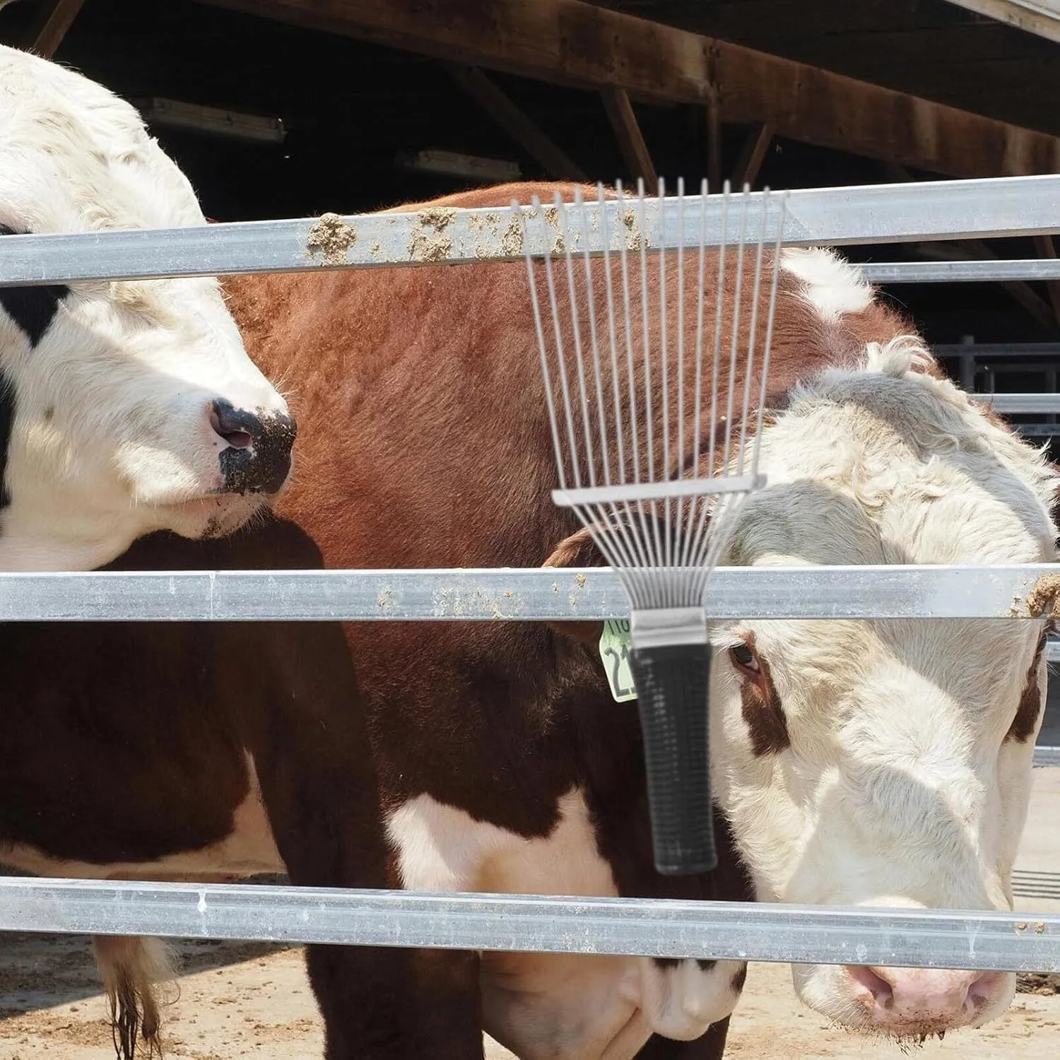 Stainless steel dematting brush rake comb for grooming horses and dogs on a wooden surface