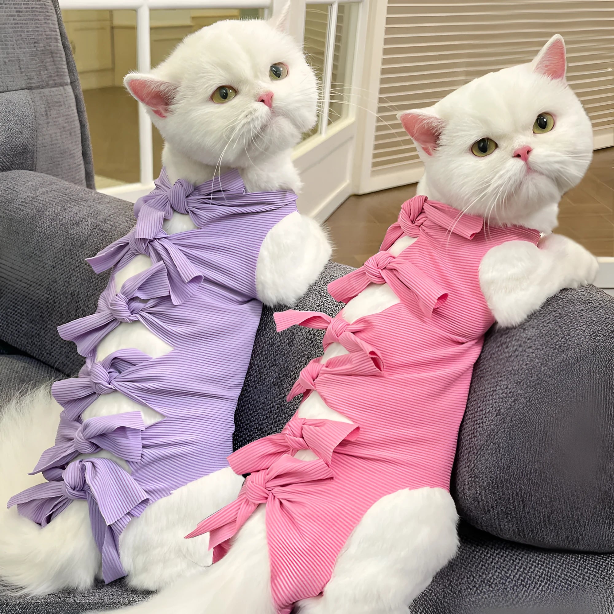 Lace-up cat sterilisation clothing in blue colour, shown on a mannequin, with adjustable ties.