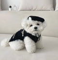 Pet dog cat knitted hat in beige for small pets with 40cm head circumference