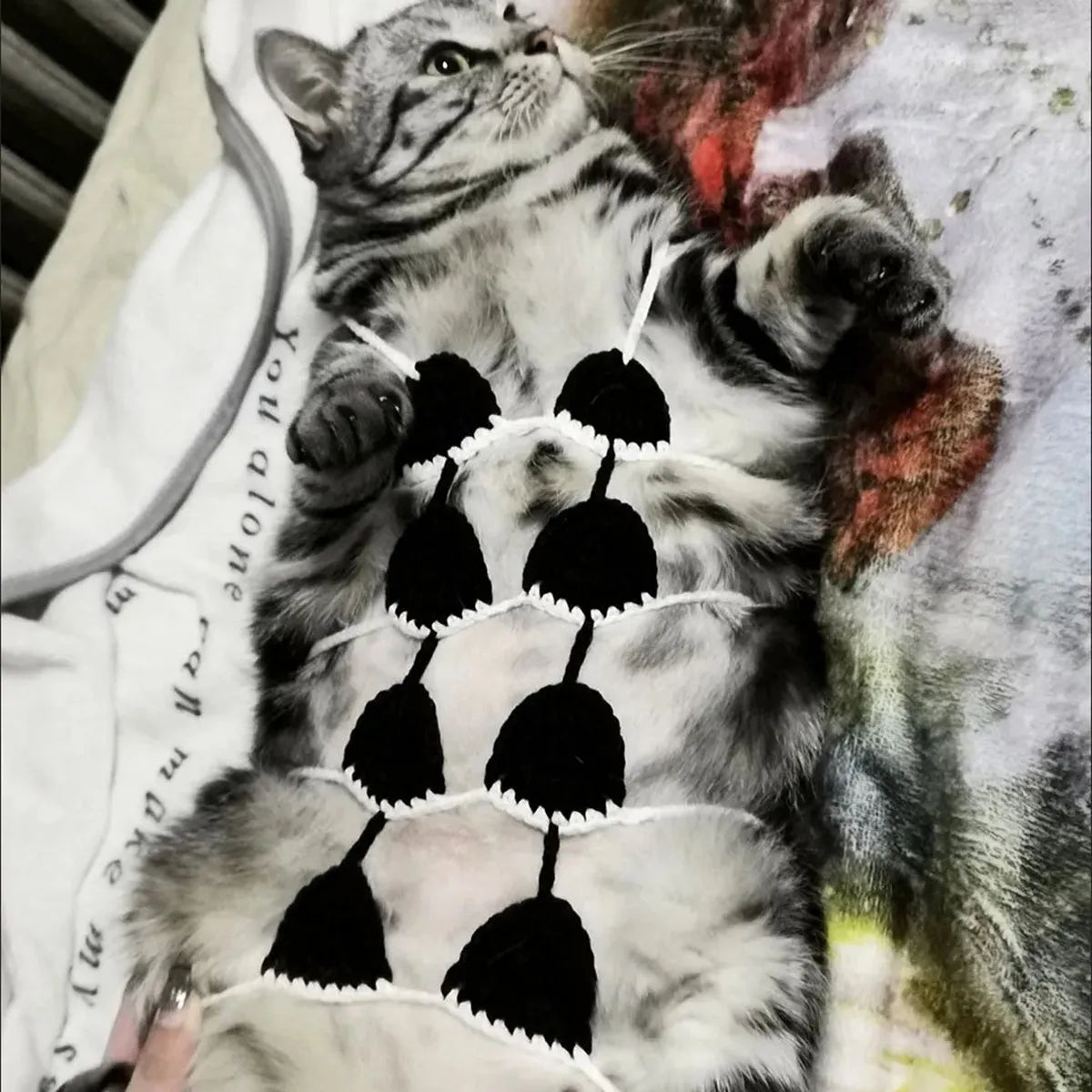 Cat wearing sweet style bikini costume in choice of five colours for festivals and parties