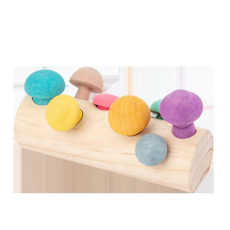 Wooden simulation mushroom picking game puzzle toy in wood colour on white background