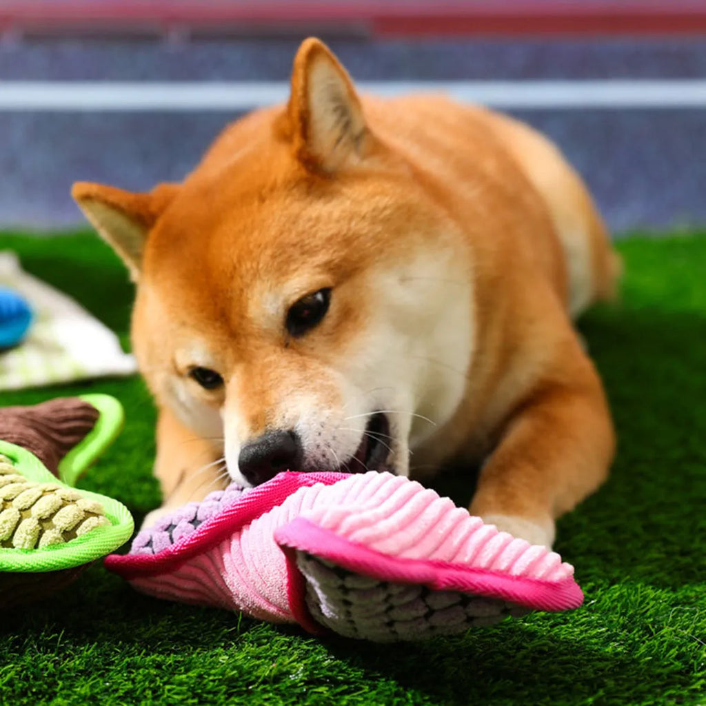 Teddy dog toy with bone squeaker in corn fleece with soft lining for bite-resistant chewing