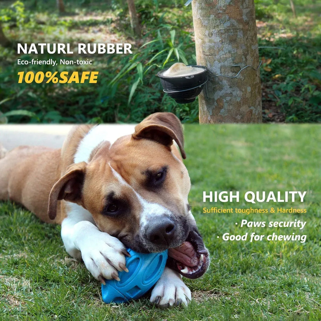 Natural rubber squeaky dog chew ball in blue, green or orange for medium large breeds