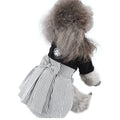 Small dog wearing blue cotton dog clothes, available in trousers or skirt style for spring and summer.