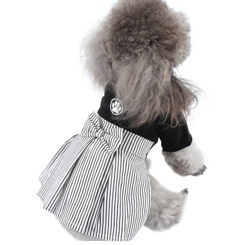 Small dog wearing blue cotton dog clothes, available in trousers or skirt style for spring and summer.