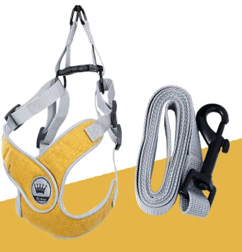 Adjustable dog harness in breathable mesh fabric with metal D-ring and attached leash.