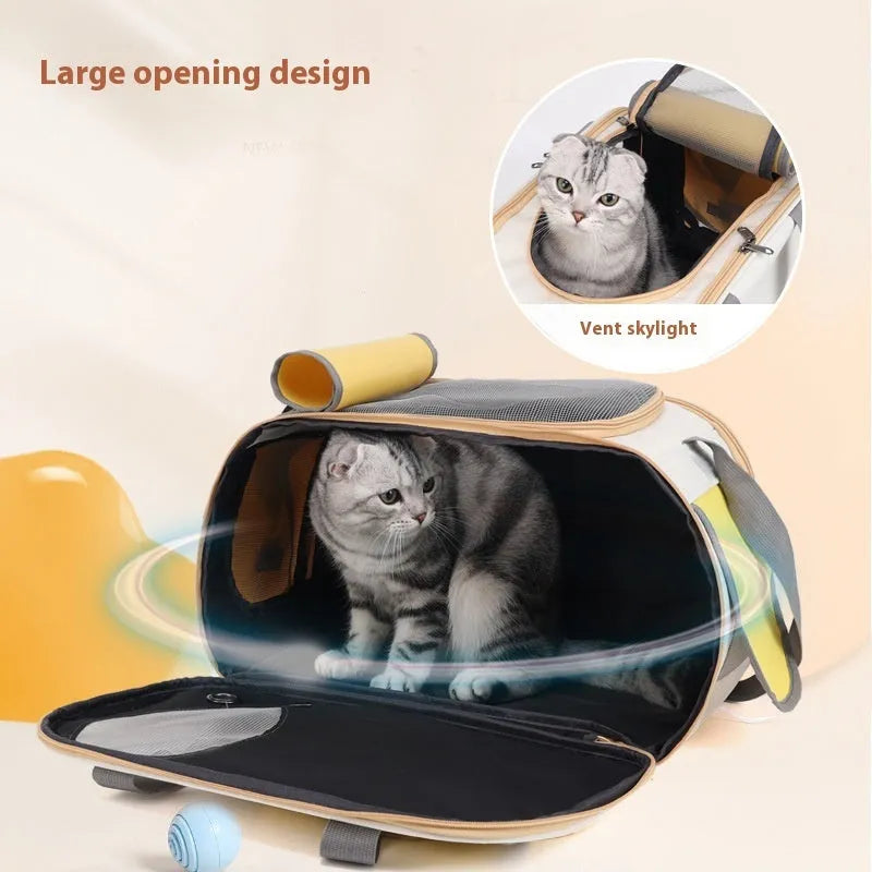 Portable foldable canvas pet bag in black colour with single shoulder strap