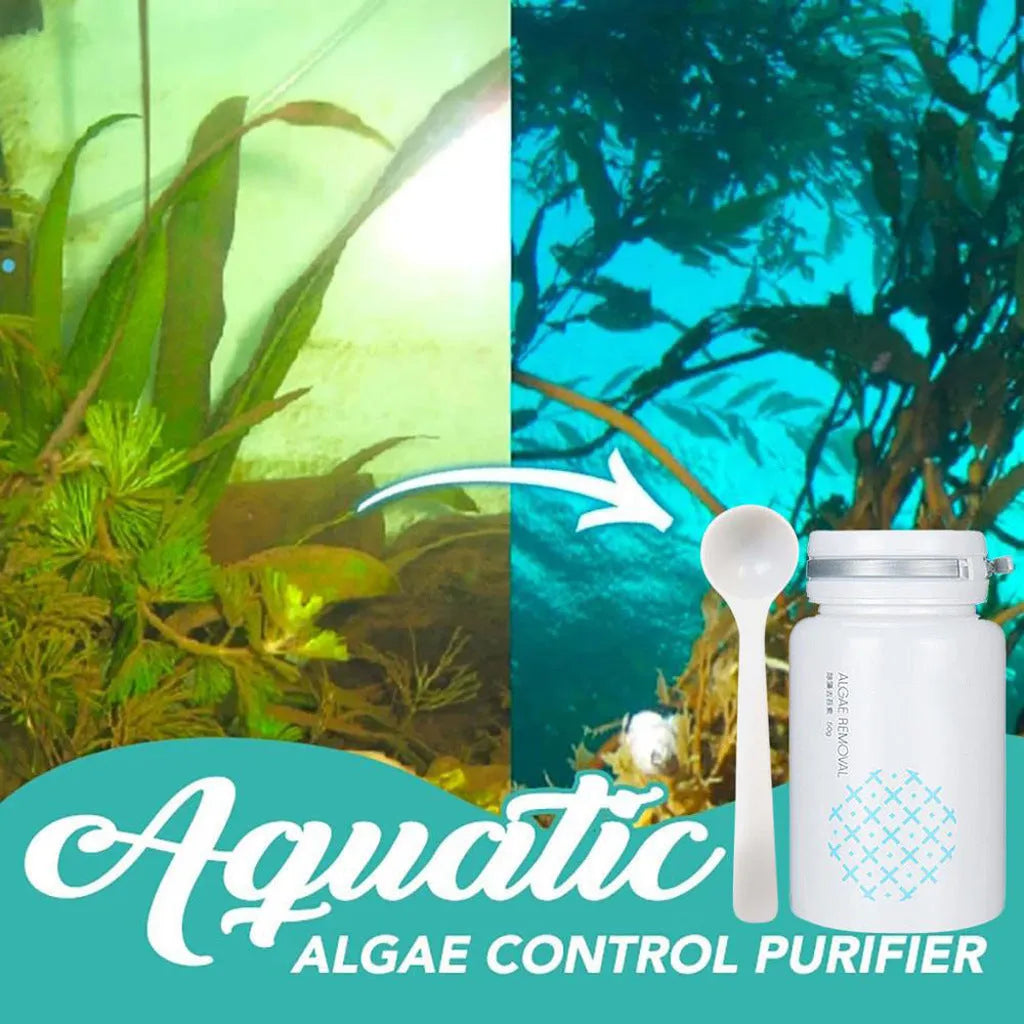 50g swimming pool algaecide treatment for algae removal and moss prevention