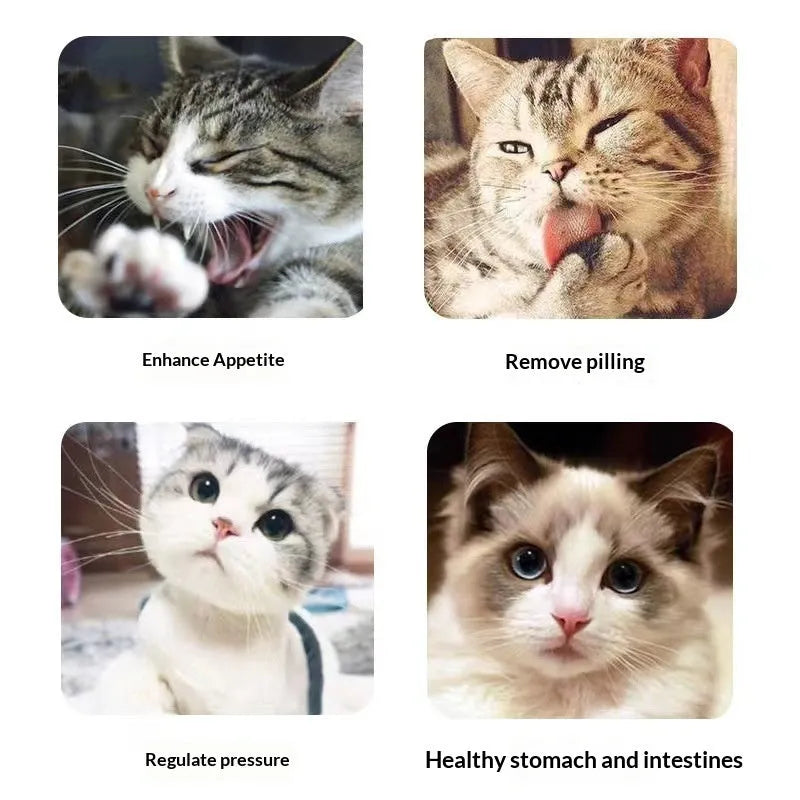 Catnip cat grass snack 1g bag for hairball removal and oral cleaning with mint powder