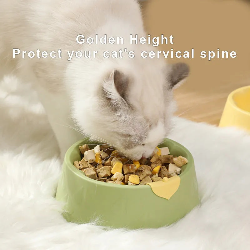 Green plastic double pet bowl with flower-shaped feeding areas and anti-tipping base design