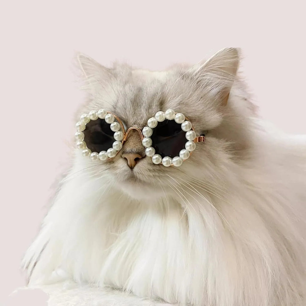 Pearl-rimmed round sunglasses on a cat or dog, shown in blue, black, coffee, orange, and purple colour options.