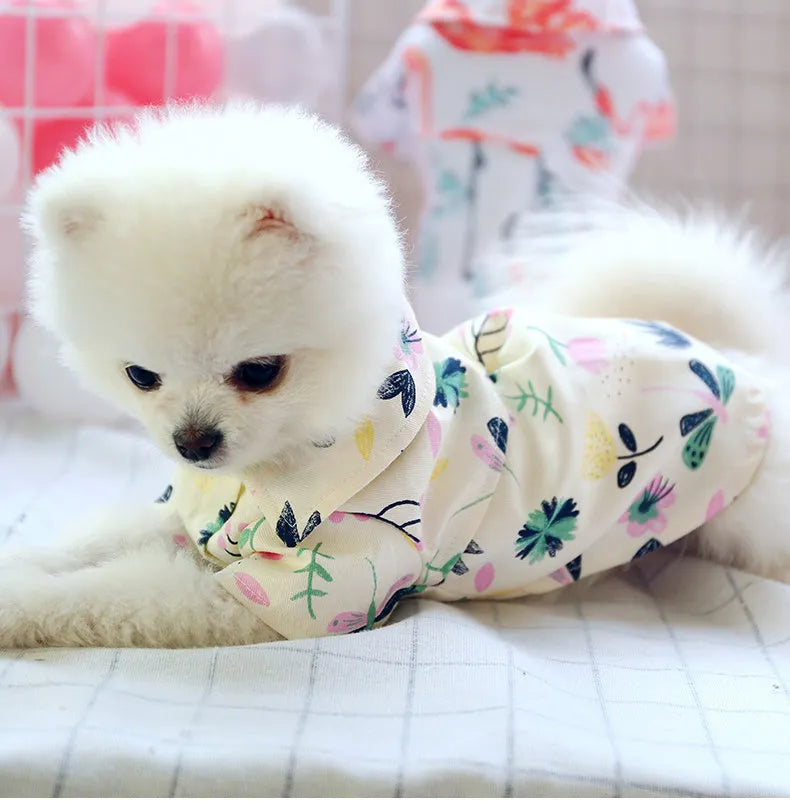 Small dog summer casual shirt with dragonfly print, cotton fabric, size M for thin breeds