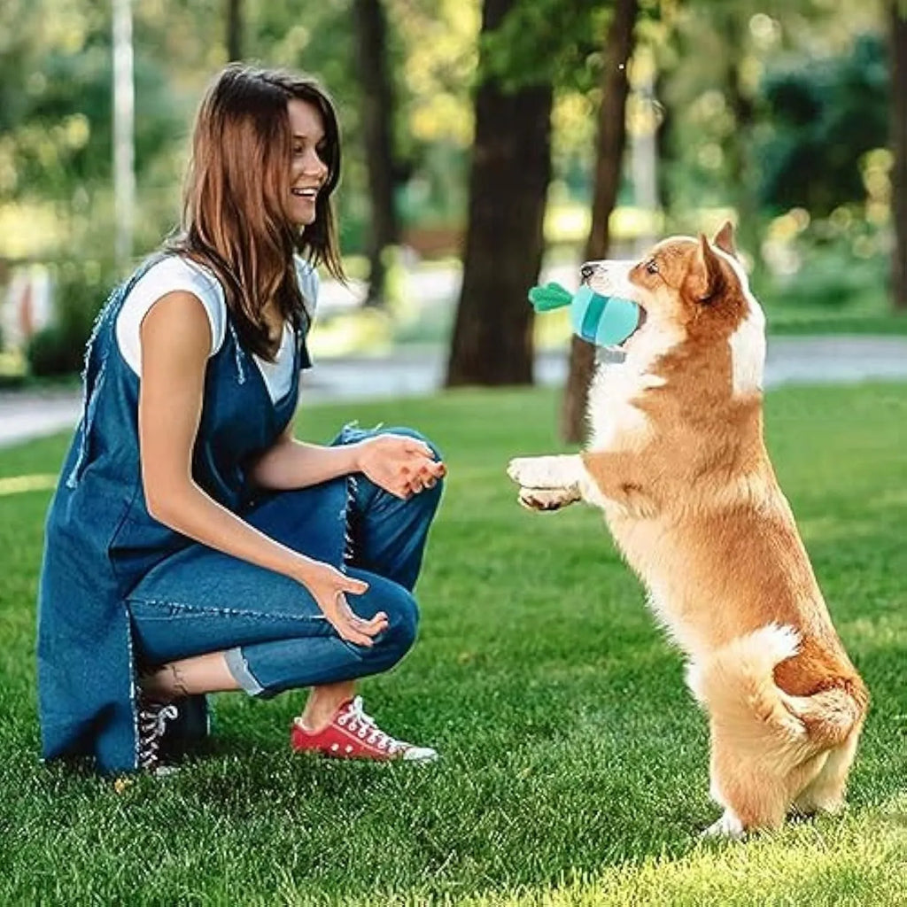 Blue or green rubber dog treat dispenser tumbler ball toy for medium large dogs