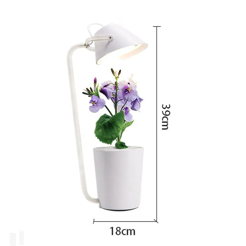 White plastic desktop hydroponic growing container for soilless plant cultivation.