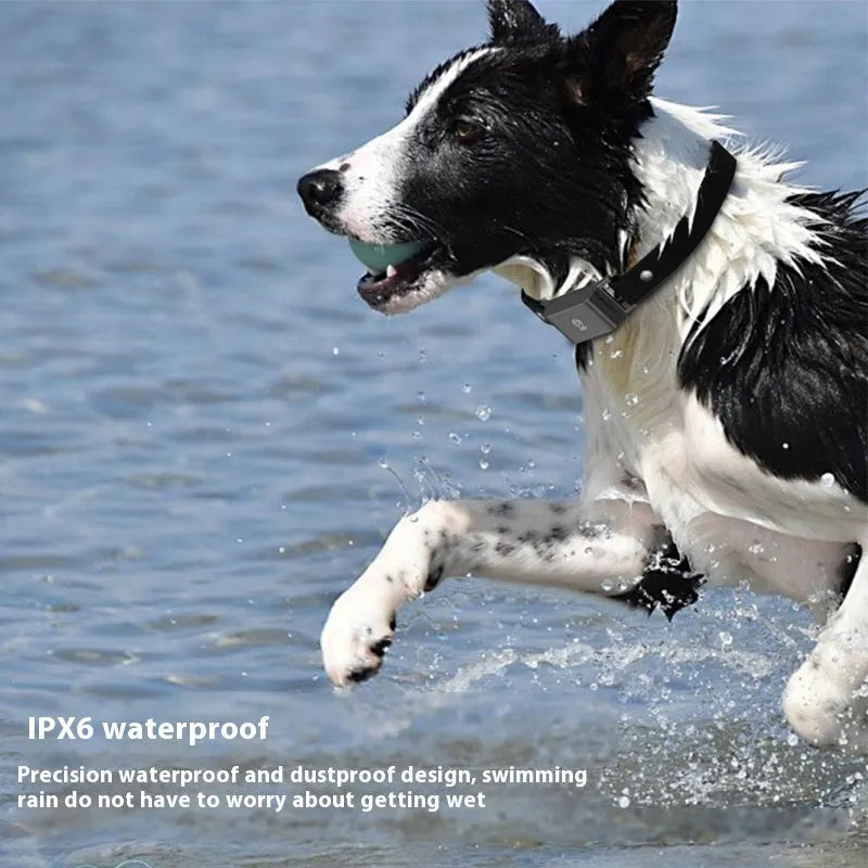 Pet GPS tracking collar locator in compact rectangular shape with ABS PC casing on a dog collar