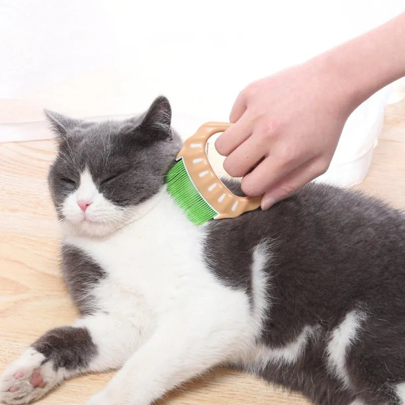 Green shell-shaped pet grooming brush with bent wire bristles and a plastic anti-slip handle.