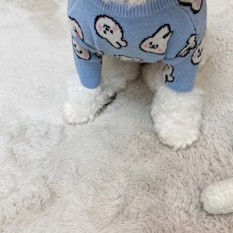 Small dog wearing a blue knitted sweater with charming pattern, warm soft polyacrylic material