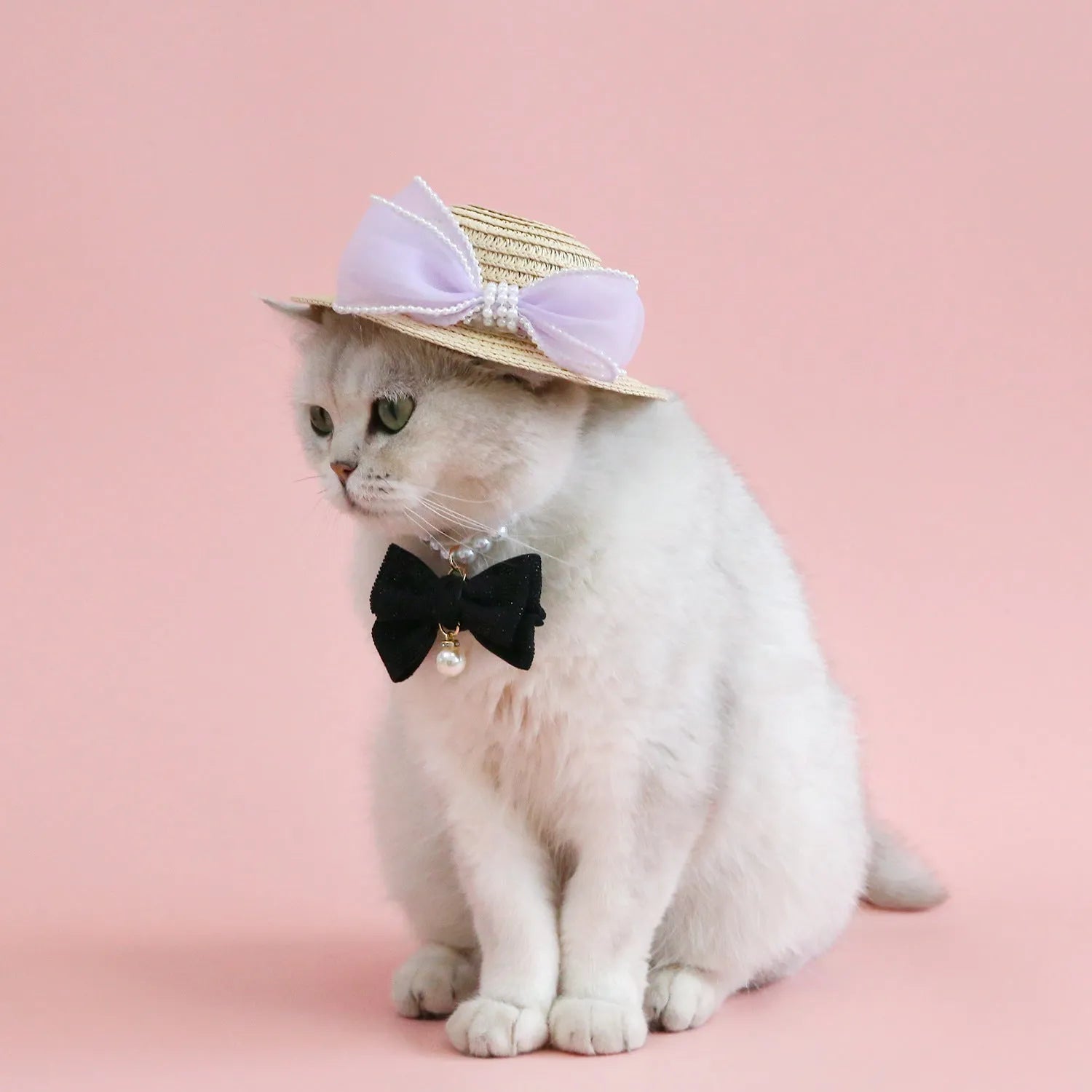 Woven Lafite leaf cat hat with pearl butterfly bow on a pink background, showing S and M size options.
