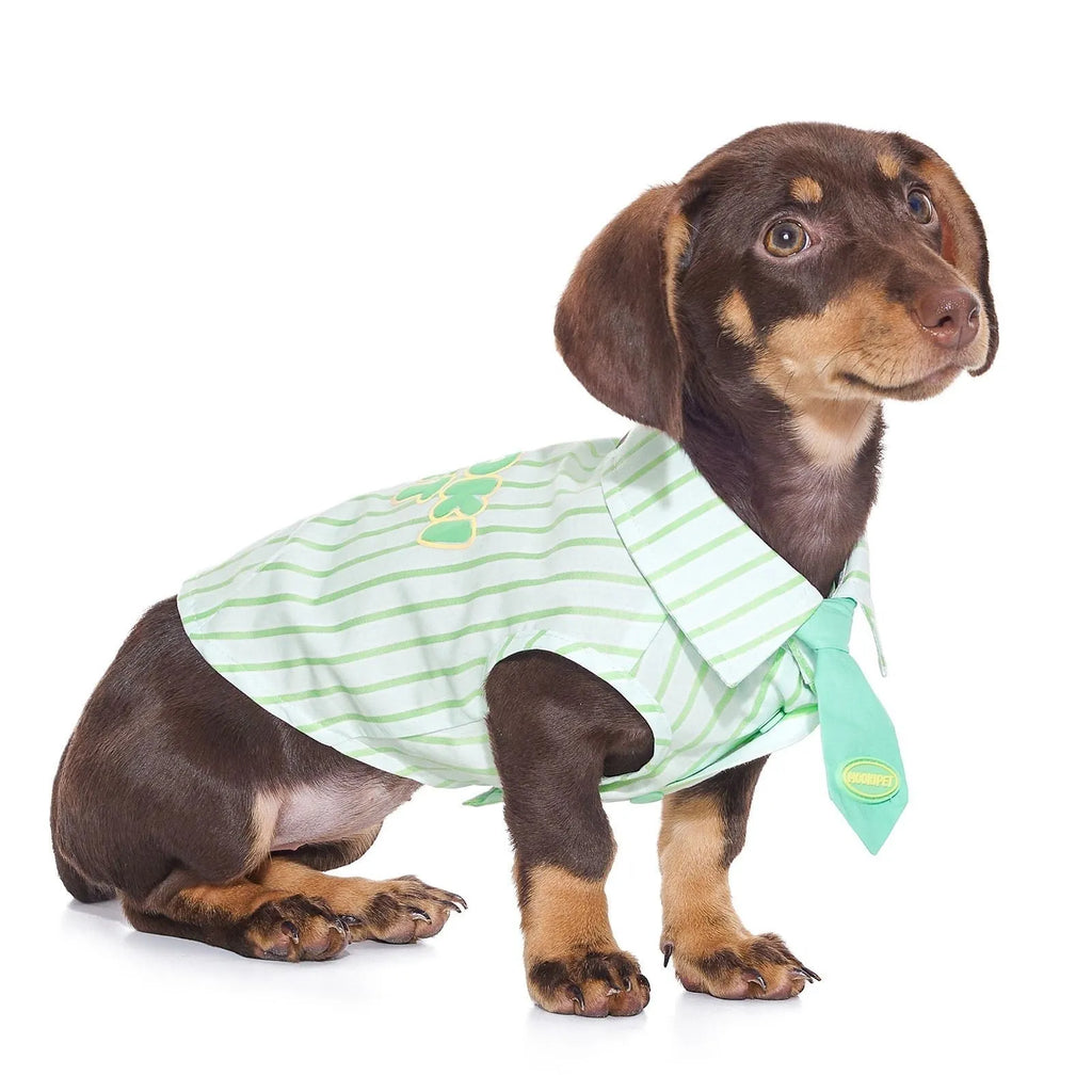 Green 100% cotton thin pet shirt for Teddy Schnauzer dogs, sizes XXS to XXL, casual summer wear