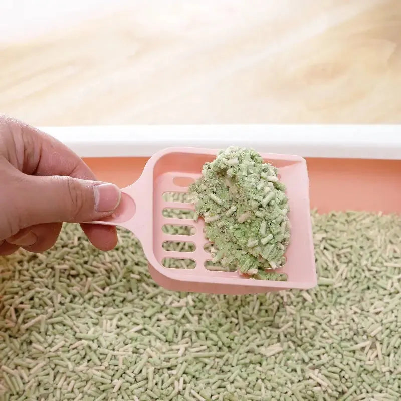 Blue plastic cat litter scoop measuring 20cm length for pet waste removal