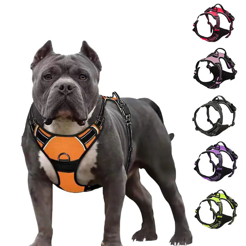 Nylon dog chest and back rope in multiple colours with hand holding loop for walking training