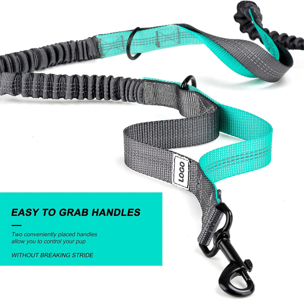 Black nylon waterproof pet training waist bag with dog leash and collar set for outdoor walking