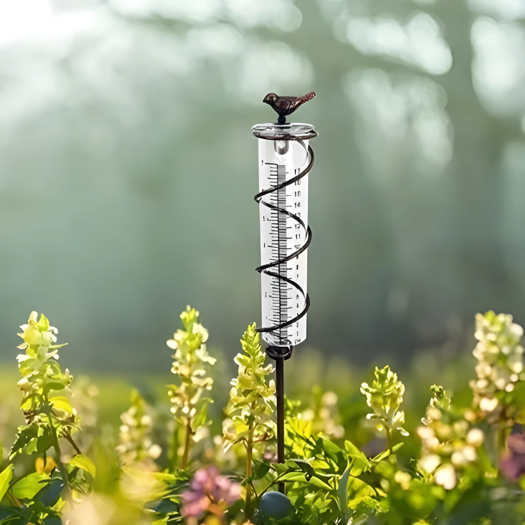 Cast iron bird-shaped outdoor rain gauge with glass measurement tube showing 0-800ml capacity scale.