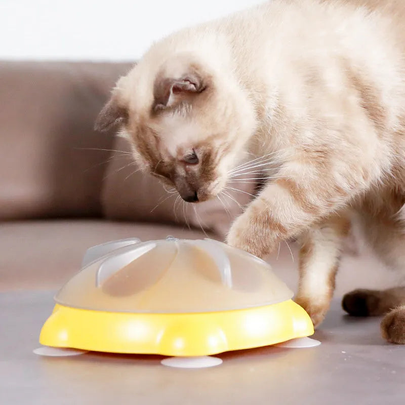 Yellow cat snack bowl puzzle plate with compartments for kibble and treats