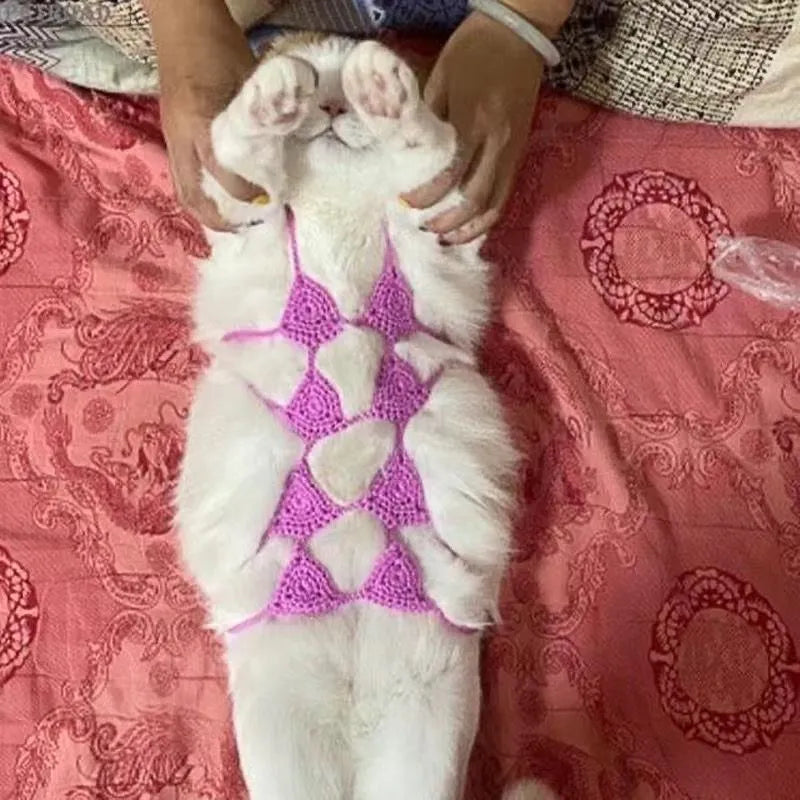 Cat wearing sweet style bikini costume in choice of five colours for festivals and parties