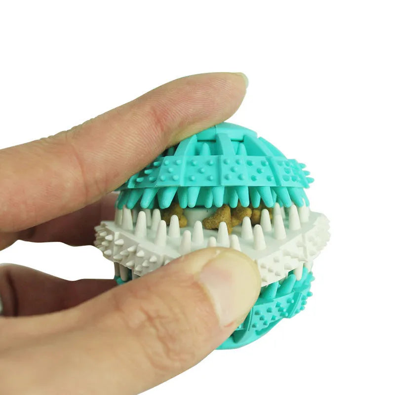 Dog molar toy in spherical, bone and rope shapes with size options – small 6cm, large 7cm, bone 15x5cm