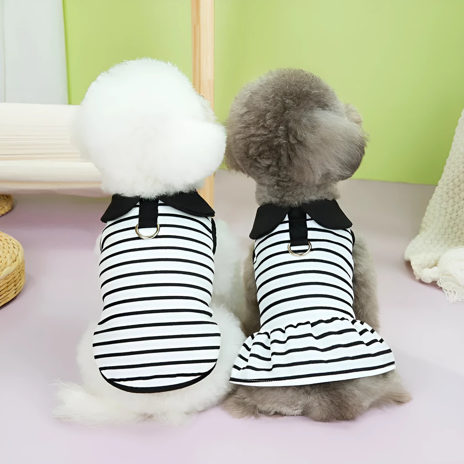 Cotton pet T-shirt and skirt summer outfit set for dogs and cats in striped design