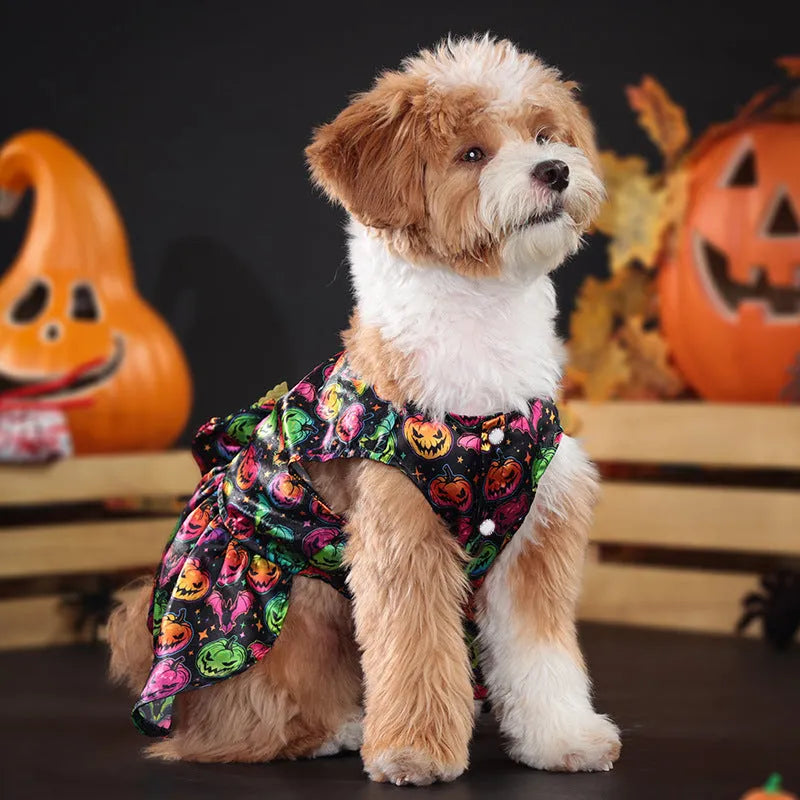 Angel wings Halloween costume for dogs in bright pumpkin and bright bat colour options