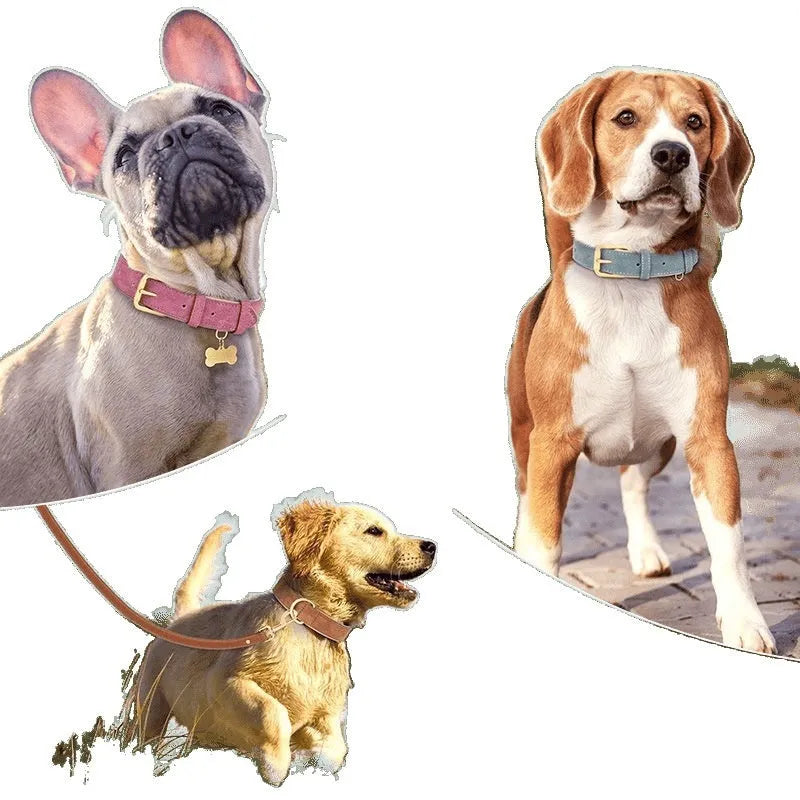 Double-layer leather dog collar and matching leash in blue, brown, or rose red with mohair lining.