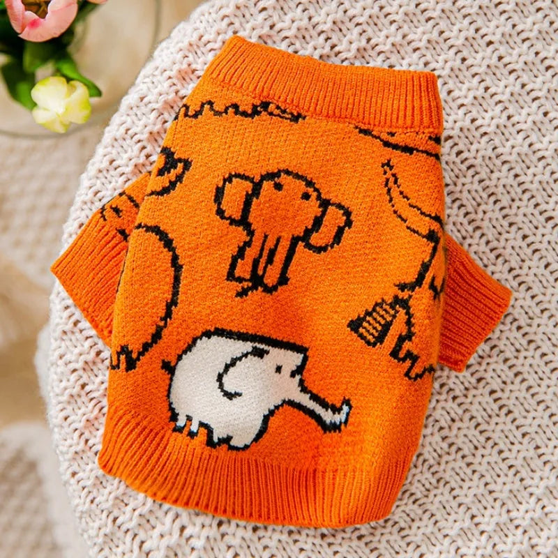 Small dog wearing a blue knitted sweater with charming pattern, warm soft polyacrylic material