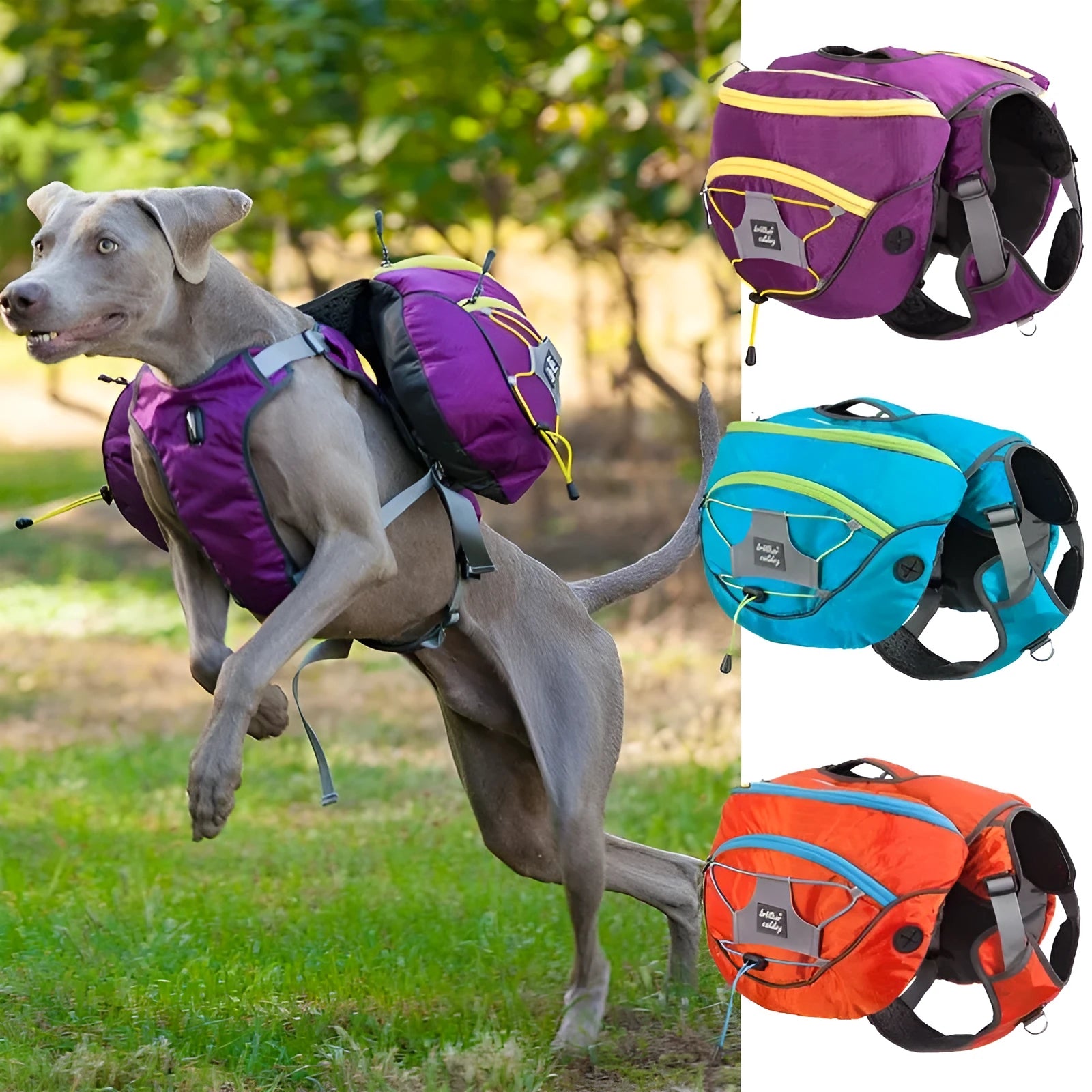 Pet Self Backpack in blue, detached and worn on chest, water-repellent polyester fabric, size S to XL for medium and large dogs