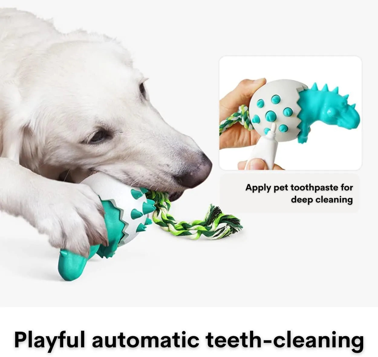 Blue dinosaur dog chew toy with rope attached, showing textured surface with dental nubs