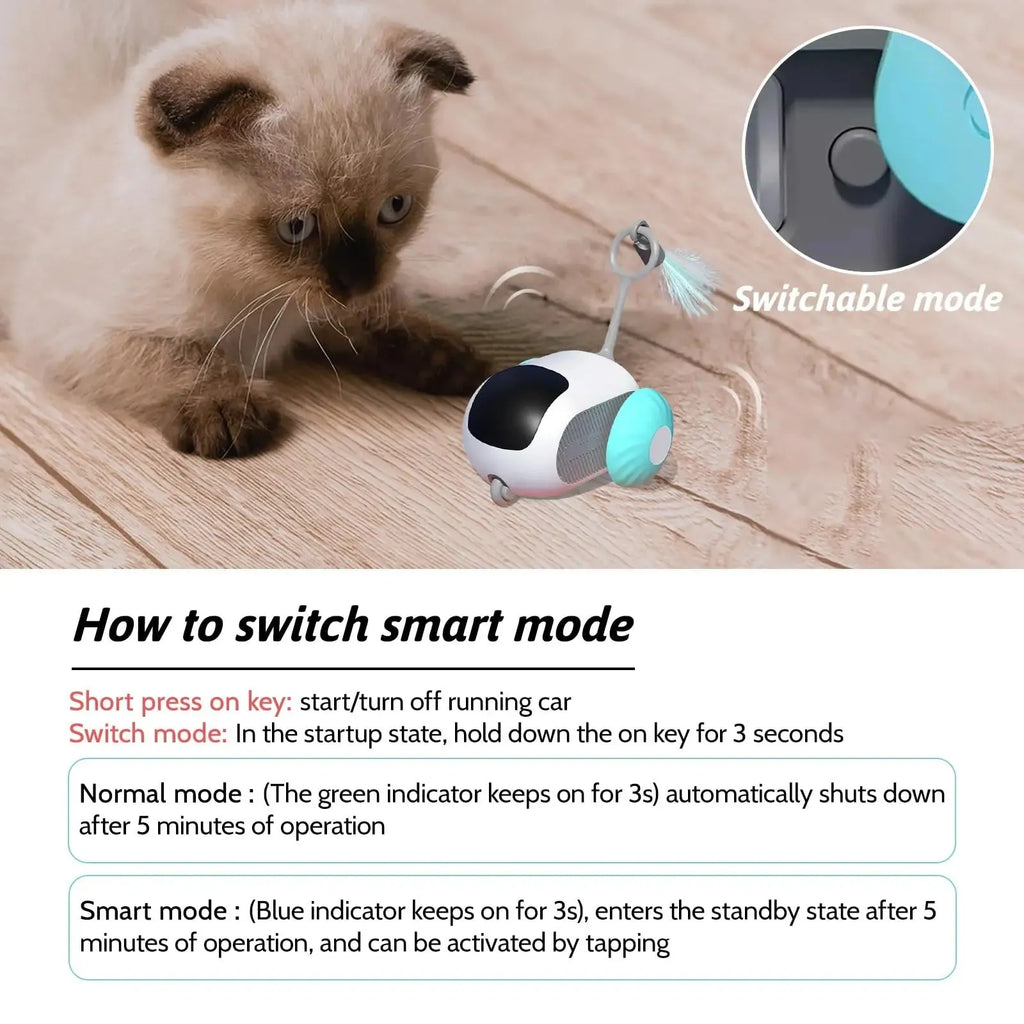 Blue remote controlled toy car with feather attachment for cat play with USB charging cable
