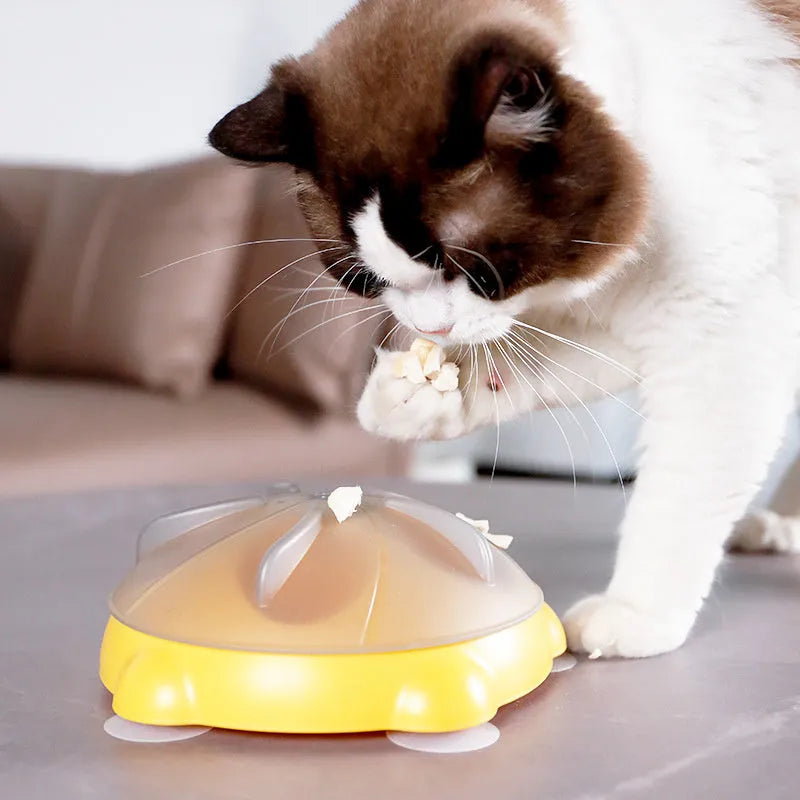 Yellow cat snack bowl puzzle plate with compartments for kibble and treats