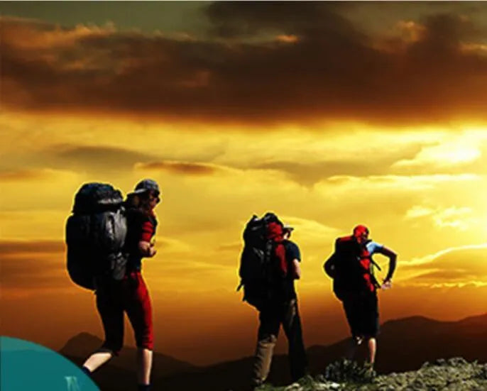 Aluminium alloy rechargeable headlight with adjustable headband and rotating LED light unit.