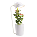 White plastic desktop hydroponic growing container for soilless plant cultivation.