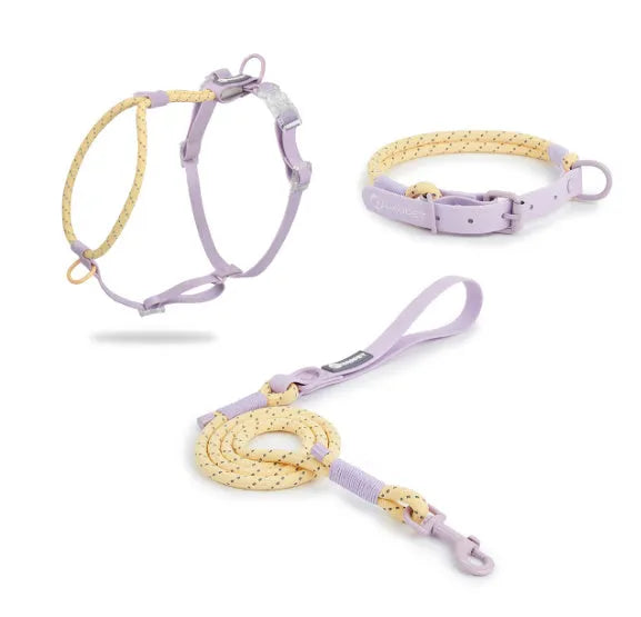 Solid colour PVC dog leash in crimson purple yellow or taoyao green, 120cm length with hand-holding rope design