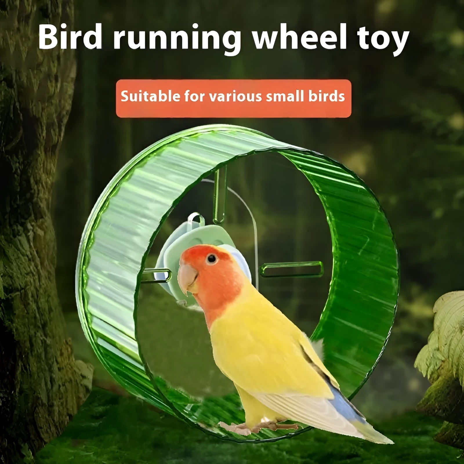 Plastic bird running wheel toy in transparent colour showing 21cm diameter size