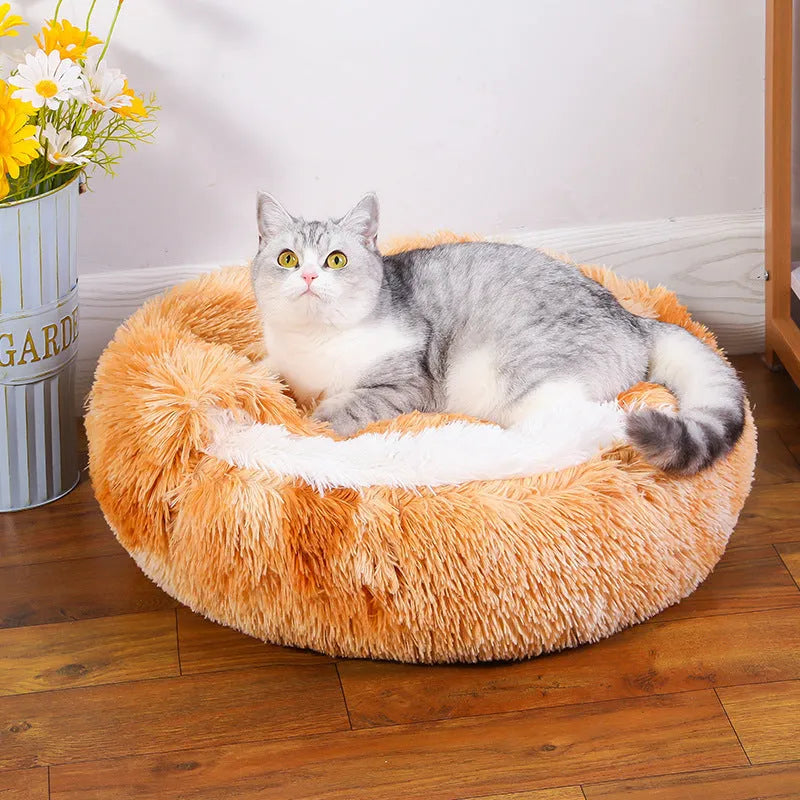 Semi-surrounded soft cloth dog kennel in champagne colour with a removable cushion inside.
