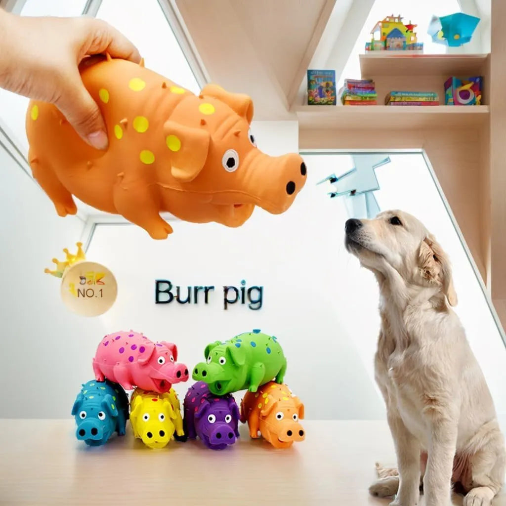 Pig-shaped latex dog chew toy with squeaker in assorted colours for aggressive chewers