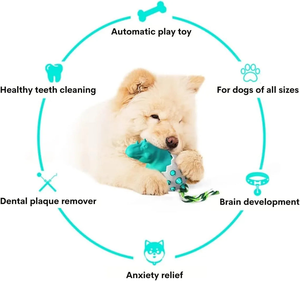Blue dinosaur dog chew toy with rope attached, showing textured surface with dental nubs