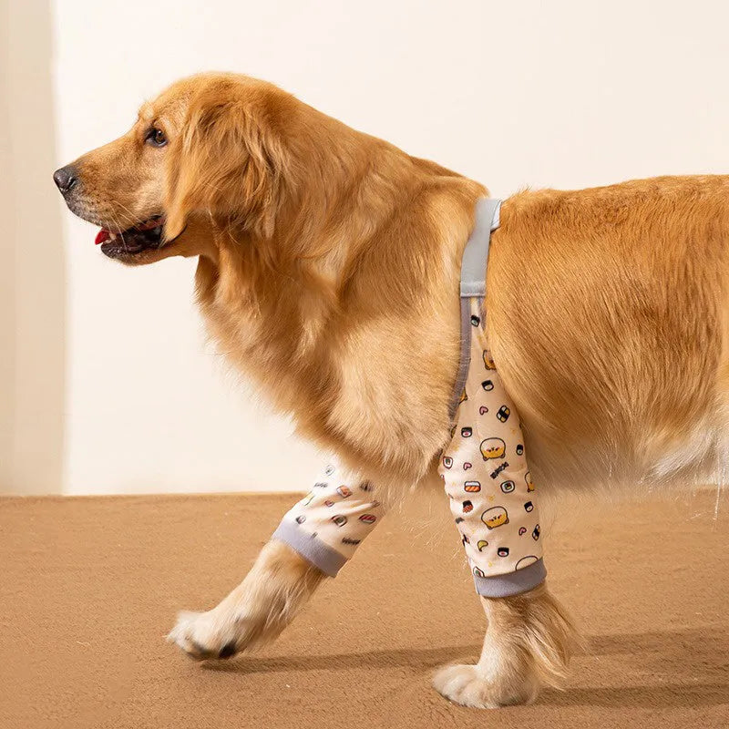 Blue dog knee protector with adjustable buckle and coordinating scarf for medium large breeds