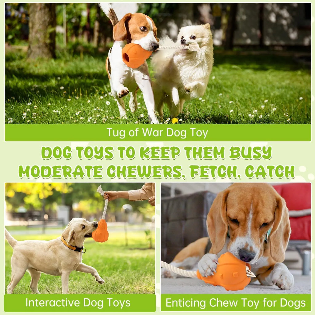 Natural rubber stuffable dog fetch toy with a long strap, shown with treats.