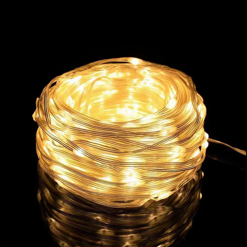 24V low voltage leather wire string light 100m 1000 LEDs with 8-function controller